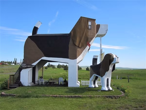 Quán trọ công viên Bark Dog này nằm ở&nbsp;Cottonwood, Indiana, Hoa Kỳ. Nó được thiết kế bởi cặp đôi&nbsp;Frances Conklin và&nbsp;Dennis Sullivan&nbsp;dành cho những người yêu chó.