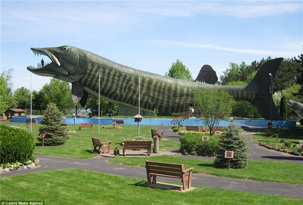 Chú cá Muskie khổng lồ này là trung tâm tòa nhà kỉ niệm câu cá nước ngọt ở Hayward, Wisconsin. Hơn bốn tầng cao và dài như một chiếc máy bay, nếu chú cá này có thực, nó có thể nuốt chửng cả một chiếc xe buýt. Chú cá Muskie khổng lồ này là trung tâm tòa nhà kỉ niệm câu cá nước ngọt ở Hayward, Wisconsin. Hơn bốn tầng cao và dài như một chiếc máy bay, nếu chú cá này có thực, nó có thể nuốt chửng cả một chiếc xe buýt.
