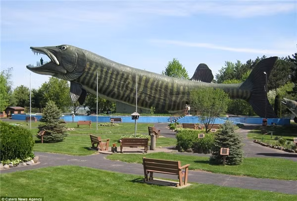 Chú cá Muskie khổng lồ này là trung tâm tòa nhà kỉ niệm câu cá nước ngọt ở&nbsp;Hayward, Wisconsin.&nbsp;Hơn bốn tầng cao và dài như một chiếc máy bay, nếu chú cá&nbsp;này có thực, nó&nbsp;có thể nuốt chửng cả một chiếc xe buýt.&nbsp;