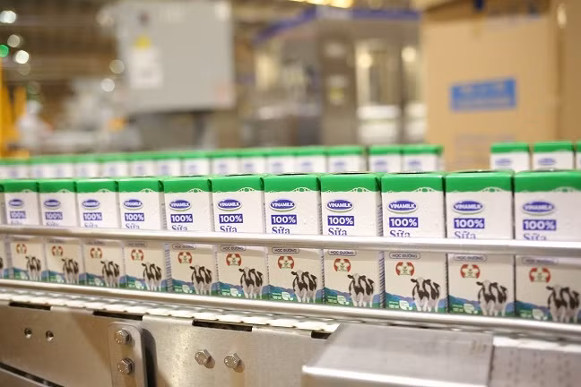 Cong bo trien khai chuong trinh sua hoc duong tren dia ban TP.HCM ‘Chung tay vi mot Viet Nam vuon cao’