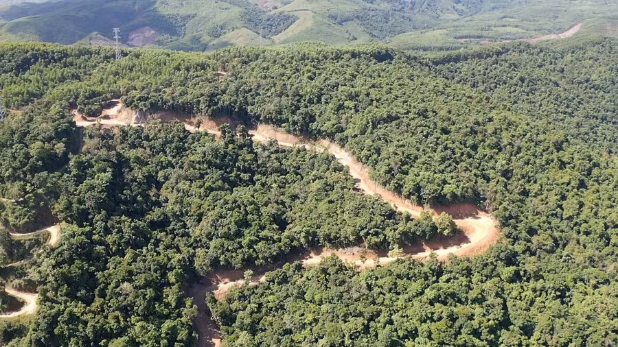 Tuyến đường được mở trong rừng tự nhiên thuộc tiểu khu 334 ở xã Phổ Cường.