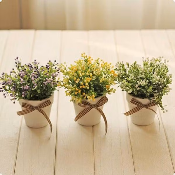 5 thu cu dat tren ban lam viec dung hoi sao su nghiep mai lenh denh - 2