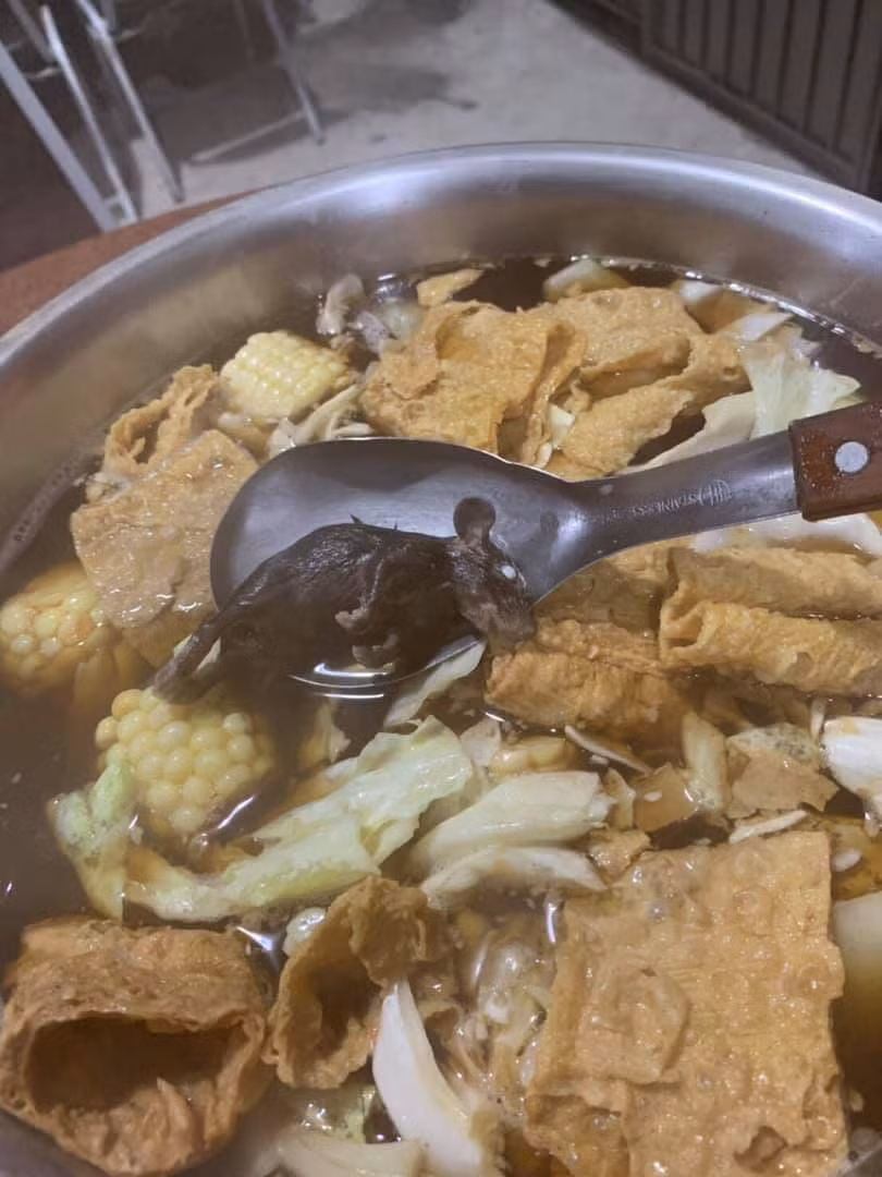 goi noi lau dai ban, nguoi dan ong het hon thay "mon an kem" la con chuot chin nhu - 2