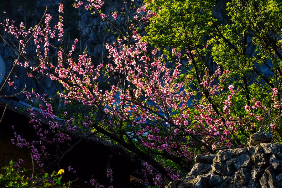 Keyword đầu tiên có dấu