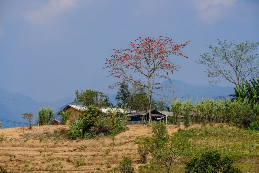 Keyword đầu tiên có dấu