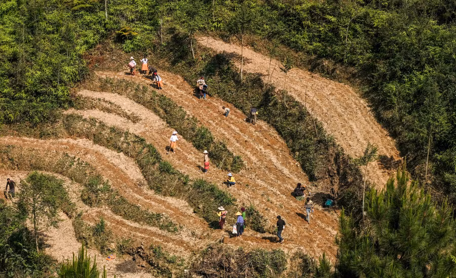 Keyword đầu tiên có dấu