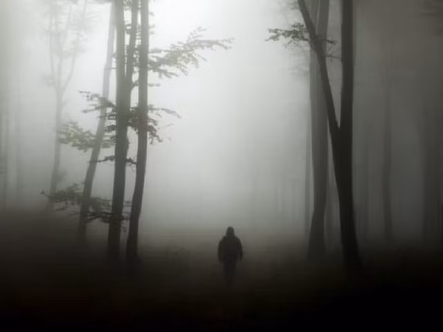 nhung vu mat tich bi an o “tam giac quy bennington” hinh anh 1