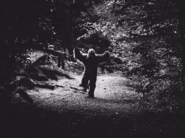 nhung vu mat tich bi an o “tam giac quy bennington” hinh anh 4