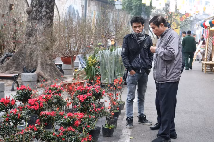 Không ít người, tranh thủ chọn chậu hoa tươi thật đẹp để về trang trí cho nhà mình. Không ít người, tranh thủ chọn chậu hoa tươi thật đẹp để về trang trí cho nhà mình.