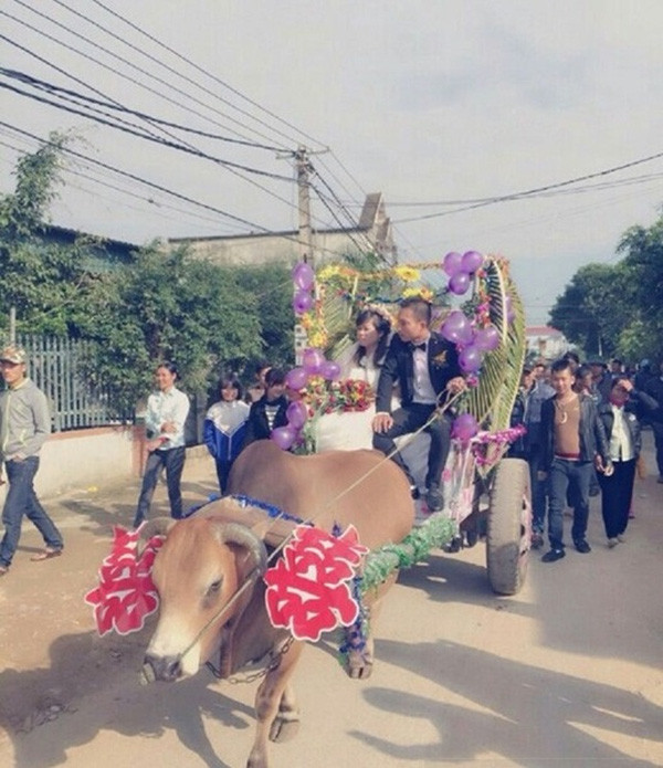 Màn rước dâu bằng xe “mui trần” đời mới có một không hai Màn rước dâu bằng xe “mui trần” đời mới có một không hai