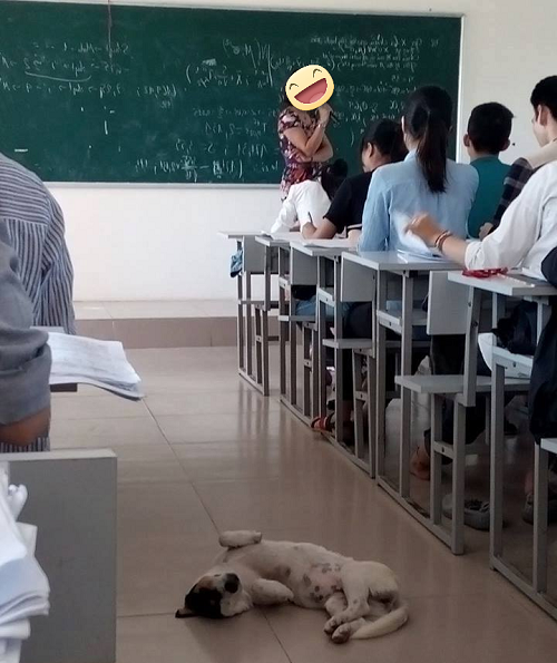 Mình thích thì mình nằm thôi. Mình thích thì mình nằm thôi.