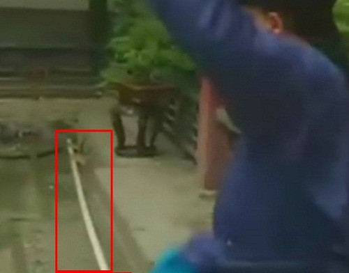 Hóa ra hoàng cung thời nhà Thanh lại hiện đại đến vậy. Hóa ra hoàng cung thời nhà Thanh lại hiện đại đến vậy.