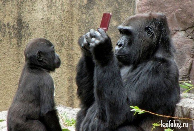 Có những khoảnh khắc dễ khiến người ta "chết sặc" hình ảnh 3 co nhung khoanh khac de khien nguoi ta "chet sac" hinh anh 3