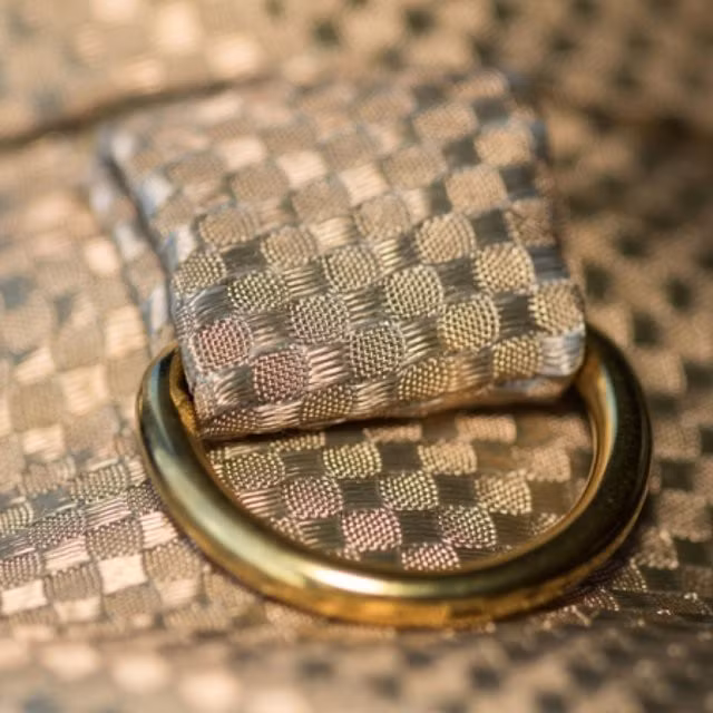  Thiết kế đẹp long lanh của chiếc áo khoác bằng vàng dành cho loài chó. 