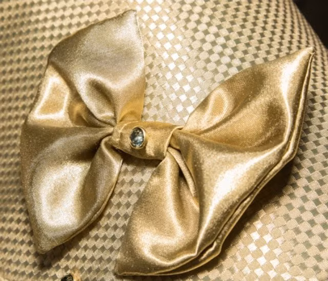 Áo khoác cho chó làm từ vàng 24 karat ảnh 3