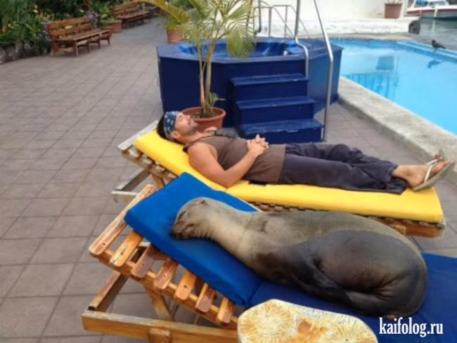 Có những khoảnh khắc dễ khiến người ta "chết sặc" hình ảnh 10 co nhung khoanh khac de khien nguoi ta "chet sac" hinh anh 10