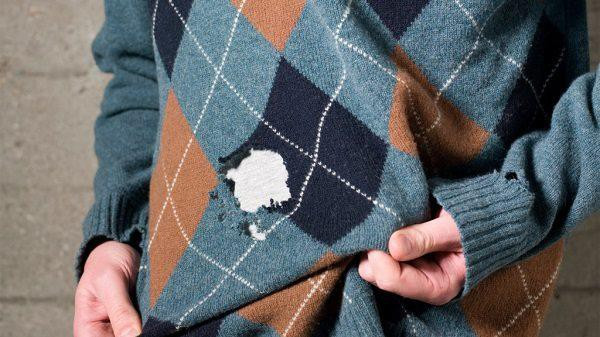 Thấy những “chiếc túi” bầu dục này trong nhà, bỏ ngay kẻo hối hận không kịp ảnh 3