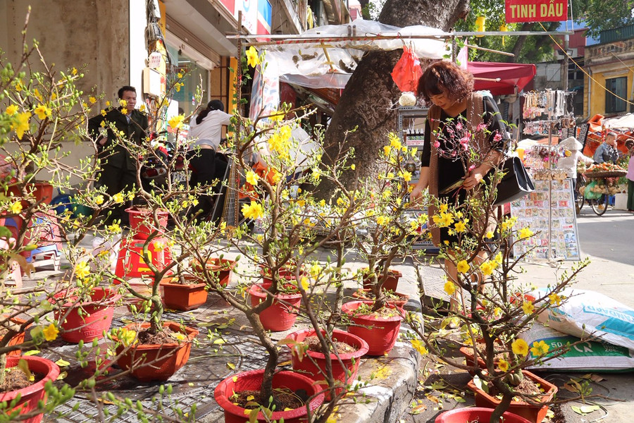 Hương vị Tết xưa ở chợ hoa nổi tiếng Hà Thành ảnh 5 Hương vị Tết xưa ở chợ hoa nổi tiếng Hà Thành ảnh 5