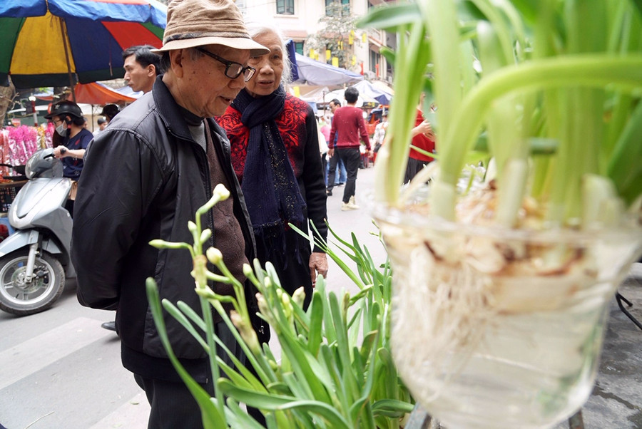 Hương vị Tết xưa ở chợ hoa nổi tiếng Hà Thành ảnh 10 Hương vị Tết xưa ở chợ hoa nổi tiếng Hà Thành ảnh 10