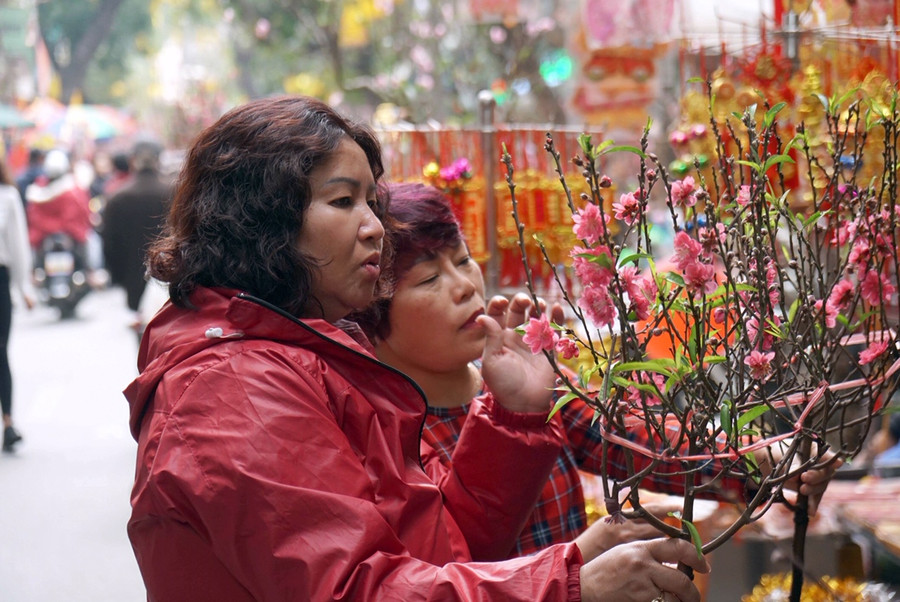 Hương vị Tết xưa ở chợ hoa nổi tiếng Hà Thành ảnh 11 Hương vị Tết xưa ở chợ hoa nổi tiếng Hà Thành ảnh 11