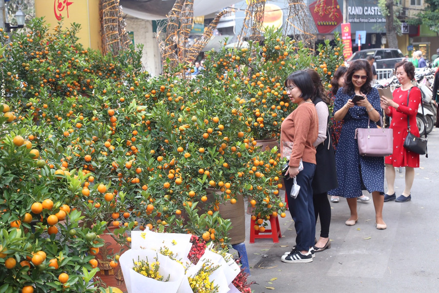 Hương vị Tết xưa ở chợ hoa nổi tiếng Hà Thành ảnh 6 Hương vị Tết xưa ở chợ hoa nổi tiếng Hà Thành ảnh 6