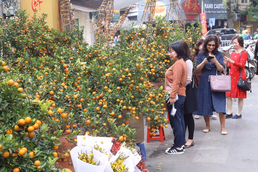 Hương vị Tết xưa ở chợ hoa nổi tiếng Hà Thành ảnh 6