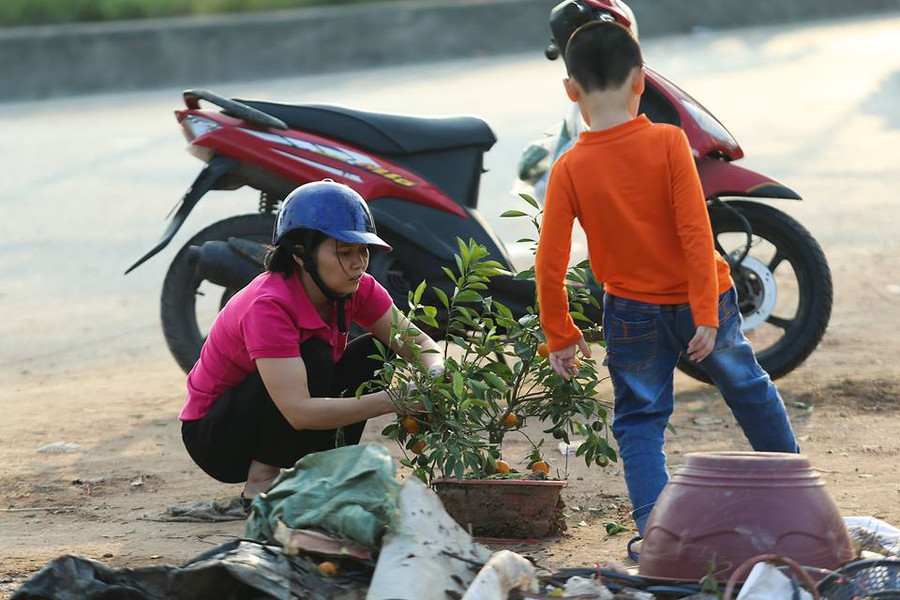 Người mẹ đang chăm chút cho cây quất đã bị người bán bỏ đi. Người mẹ đang chăm chút cho cây quất đã bị người bán bỏ đi.