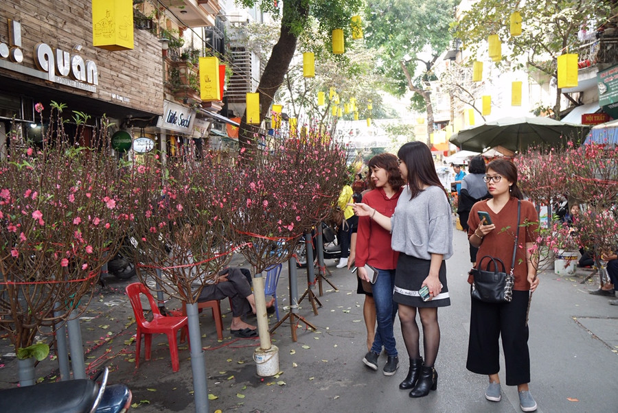 Hương vị Tết xưa ở chợ hoa nổi tiếng Hà Thành ảnh 8 Hương vị Tết xưa ở chợ hoa nổi tiếng Hà Thành ảnh 8