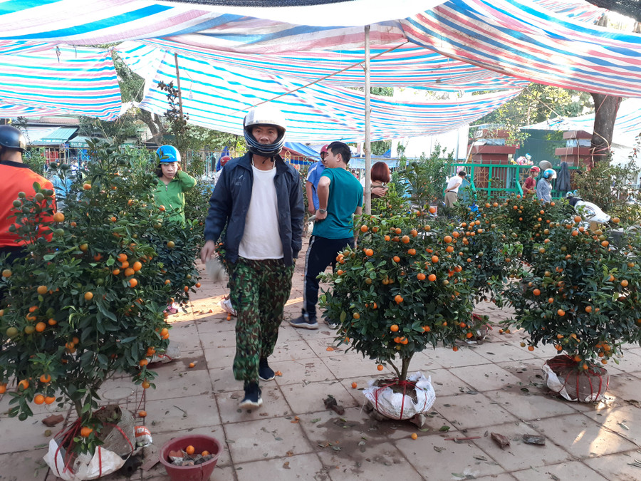 Nhiều người xem nhưng ít người mua