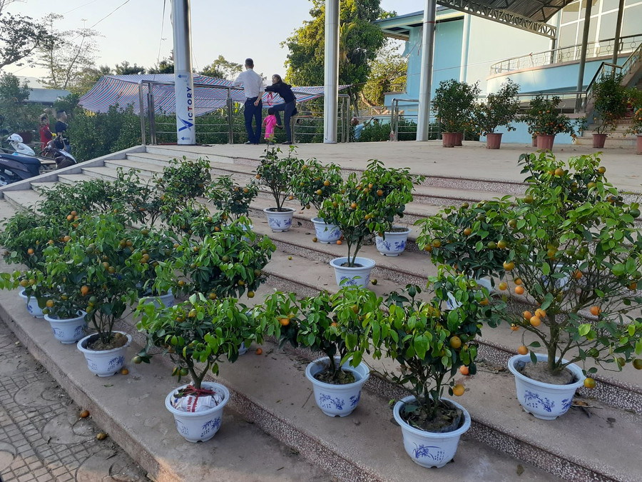 Nhiều chủ hàng ngán ngẩm vì không ai ngó ngàng