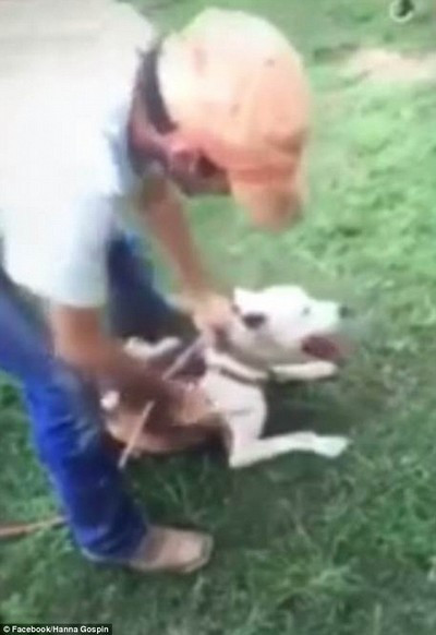Bị bắt vì đăng video tra tấn chó lên mạng xã hội ảnh 1 Hình ảnh chú chó bị tra tấn trong đoạn clip khiến nhiều người xem phẫn nộ