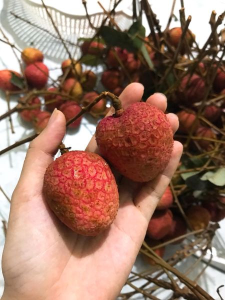 Cách làm vải ngâm đường ngọt thanh pha cùng trà giải khát mùa hè ảnh 1