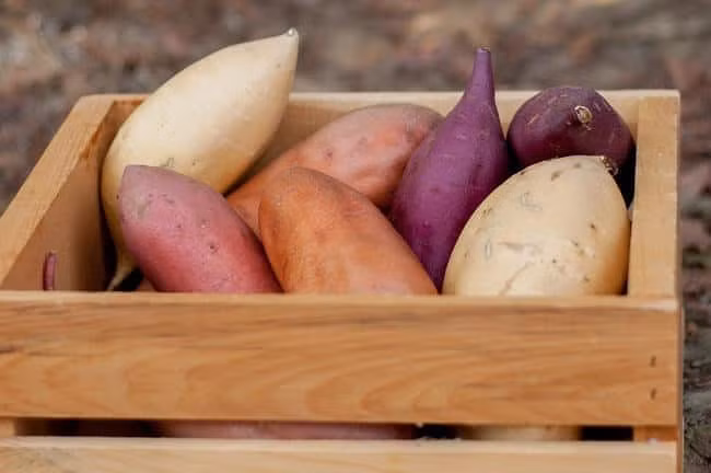 Những thực phẩm cực độc khi ăn cùng nhau, biết để khỏi... mất mạng