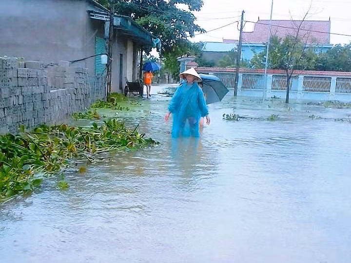 Huyện Yên Thành có nhiều xã đường giao thông bị ngập