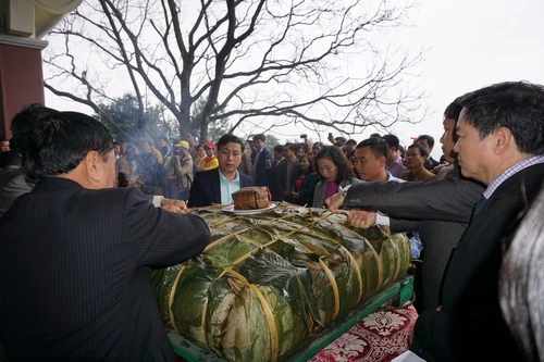 Cặp bánh chưng được làm từ nếp đậu thịt, gói trong hàng ngàn lá dong và nấu trong 2 ngày