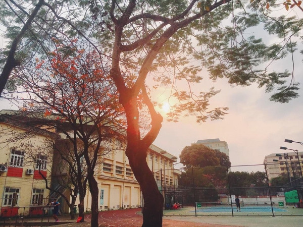 Con đường tình yêu đẹp hết nấc ở ĐH Sư Phạm Hà Nội trong mùa thay lá ảnh 9 Con đường tình yêu đẹp hết nấc ở ĐH Sư Phạm Hà Nội trong mùa thay lá ảnh 9