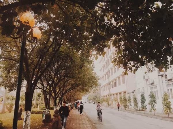 Con đường tình yêu đẹp hết nấc ở ĐH Sư Phạm Hà Nội trong mùa thay lá ảnh 3