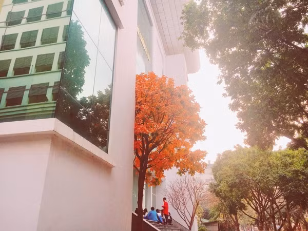 Con đường tình yêu đẹp hết nấc ở ĐH Sư Phạm Hà Nội trong mùa thay lá ảnh 5