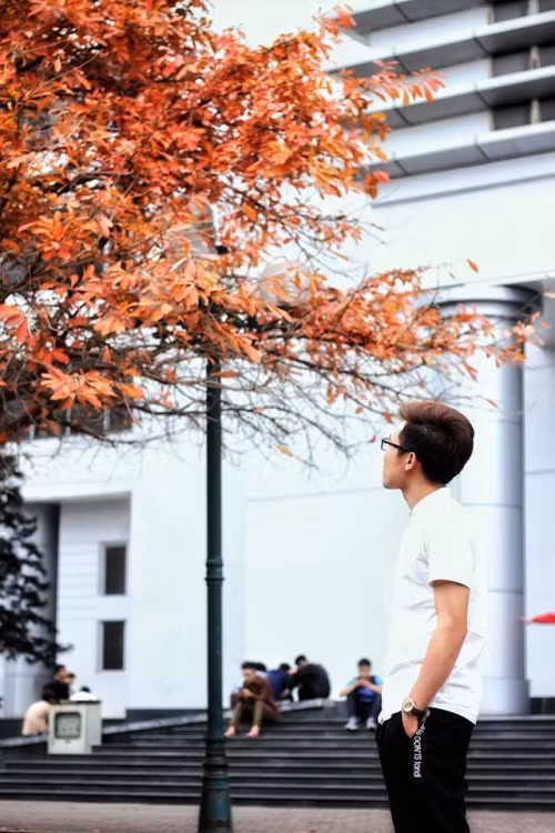 Con đường tình yêu đẹp hết nấc ở ĐH Sư Phạm Hà Nội trong mùa thay lá ảnh 1