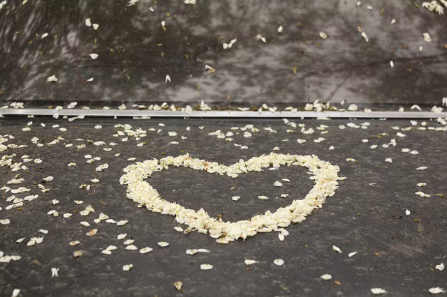 Khó lấy được toàn cảnh thì bù vào đó, hoa sưa đáp lại người ngắm hoa những tấm thảm đẹp lãng mạn, rất lý tưởng để “check-in”.