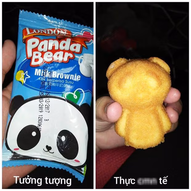 Con gấu trúc quảng cáo và thực tế