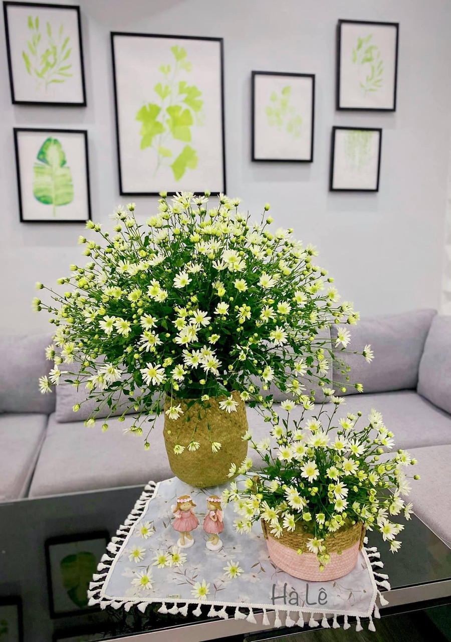 Lồng bình hoa vào bị cói.