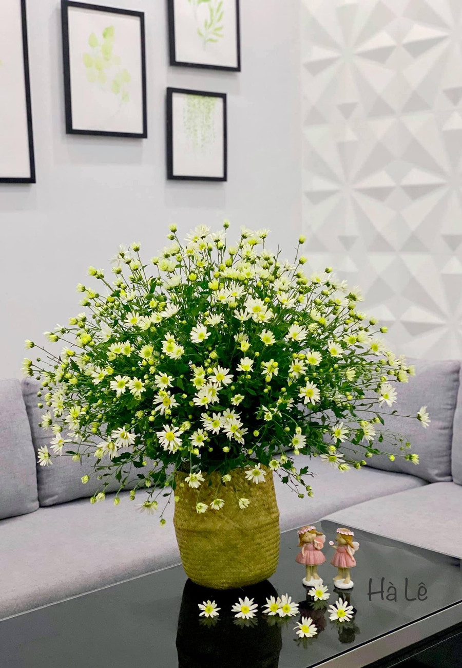 Mẹ 8X Hà thành gợi ý cắm cúc hoạ mi đẹp không bị rối bông, không dùng xốp ảnh 9