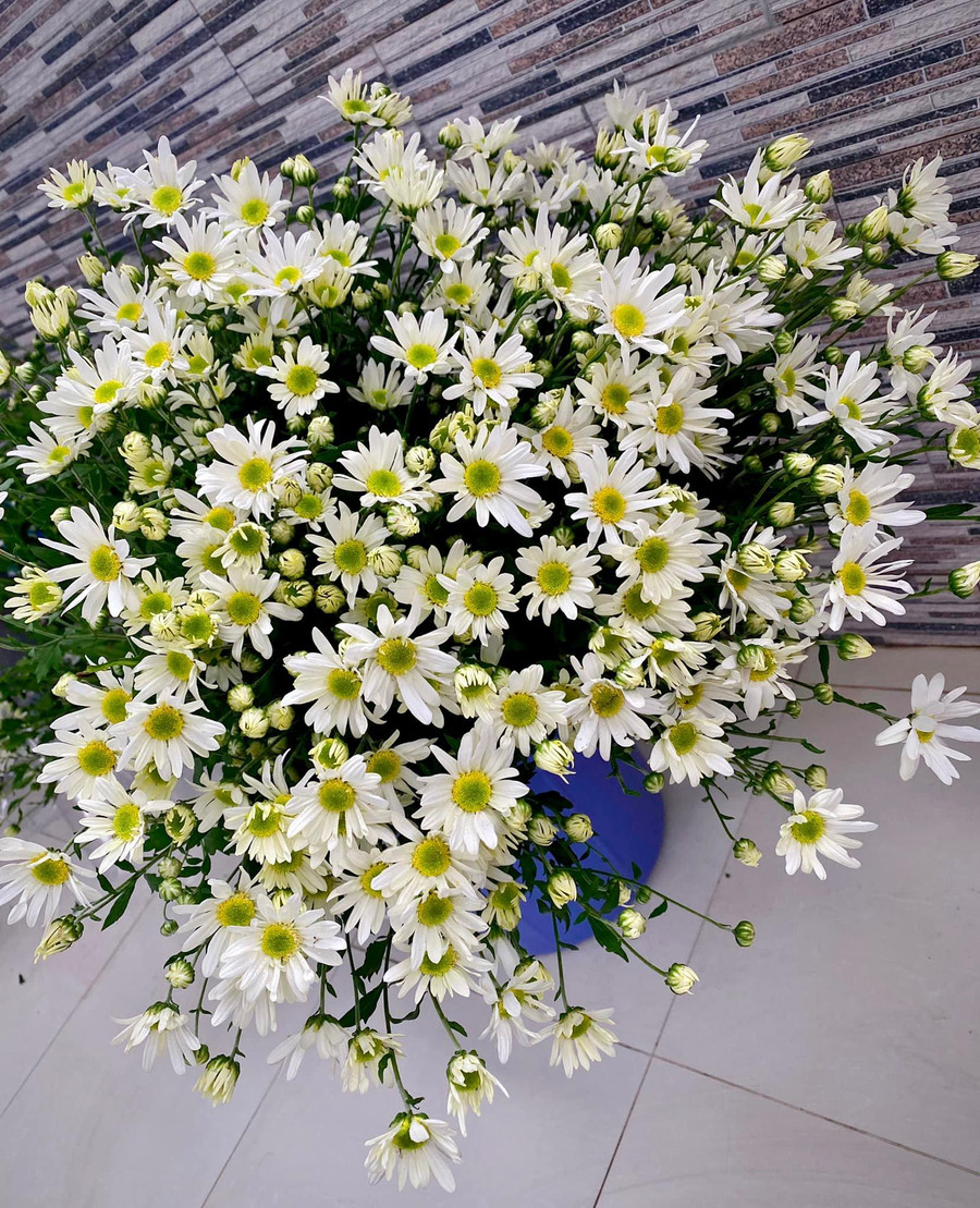 Cắm hoa vào nước khoảng 1-2 giờ trước khi lên bình.