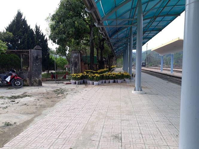 Lạng Sơn: Chỉnh trang ga quốc tế Đồng Đăng trước Hội nghị thượng đỉnh Mỹ - Triều ảnh 6 Một số hoa tươi được tập kết tại sân ga - Ảnh: Duy Chiến