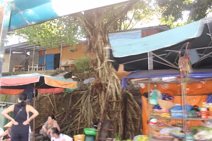 Hàng nghìn hộ dân di dời khỏi Kinh thành Huế được hỗ trợ gì?