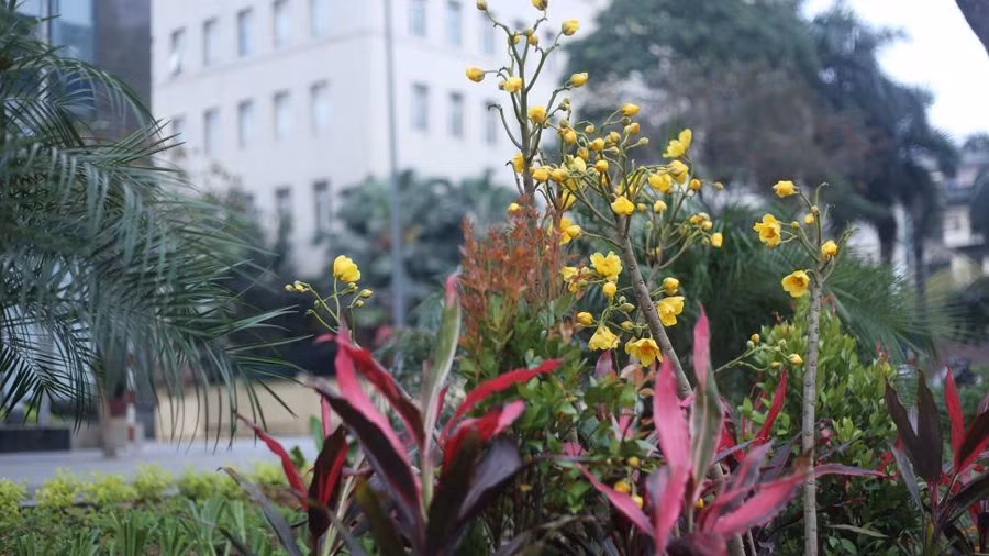 Keyword đầu tiên có dấu