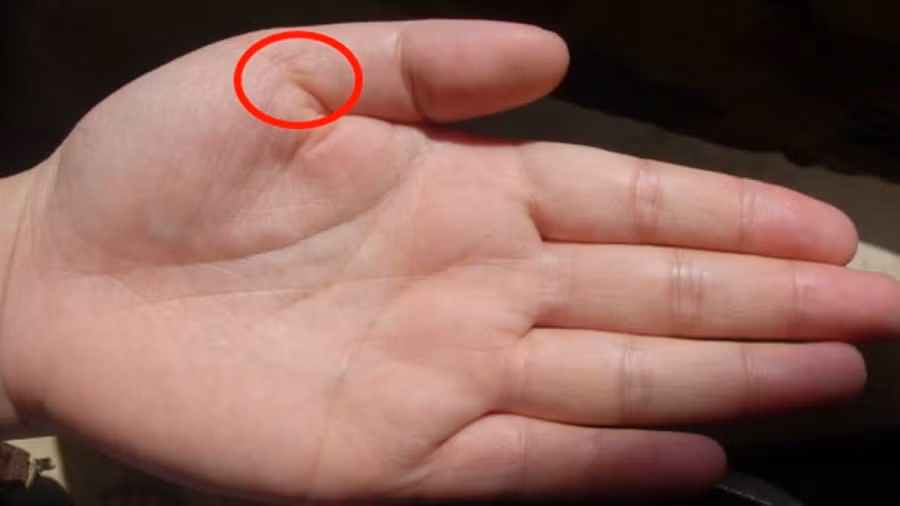 VN_15b8e36bc97a32ea19ca3567t08ca5dac