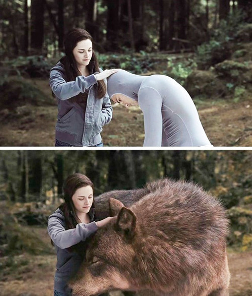 ... và Chạng Vạng giống nhau đến bất ngờ.