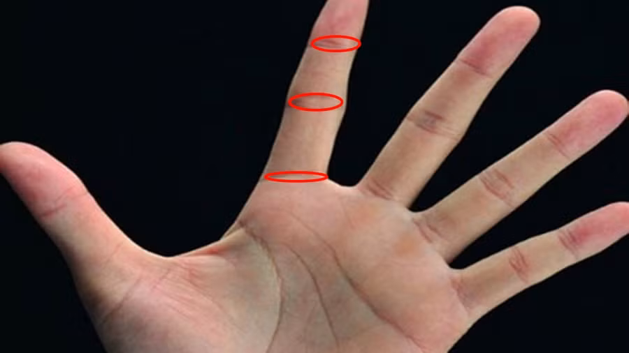 VN_15b8e36c1972d7e319ca3631t08ca5db1